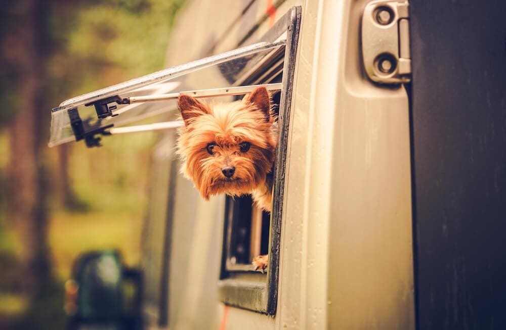 Canada’s Top Pet-Friendly RV Parks